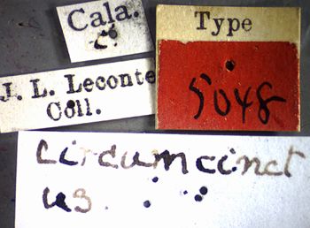 Media type: image;   Entomology 5048 Aspect: labels